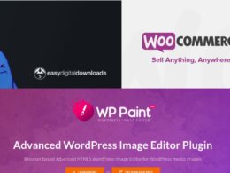 WordPress E-Commerce Plugin for Smart Workability