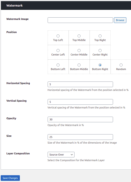 WP Paint Pro - Watermark Setting