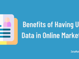 Benefits of Having User Data in Online Marketing