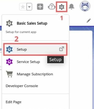 Salesforce account, click on the Setup icon and then on the Setup link.