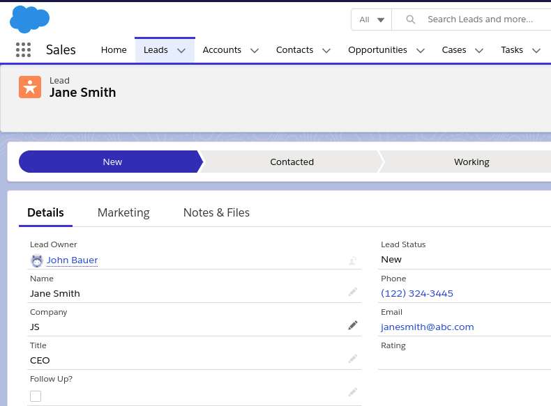 Lead Details in Salesforce