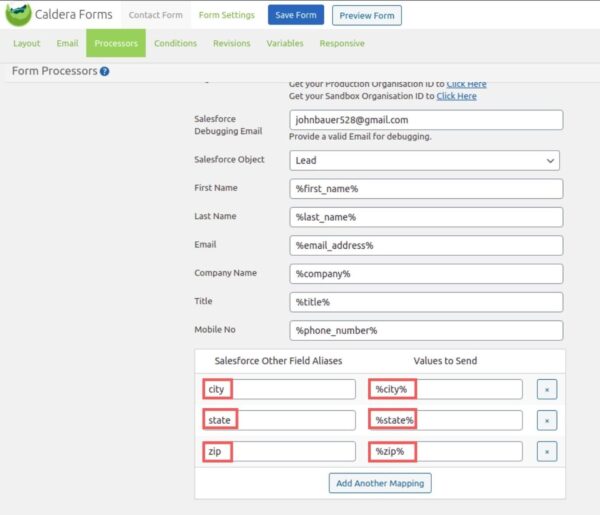 Put the id values as the “Salesforce Other Field Aliases” with “Value to Send” as the same id value between % character, one field at a time as shown below.