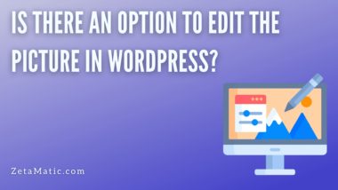 Is there an option to edit the picture in WordPress?