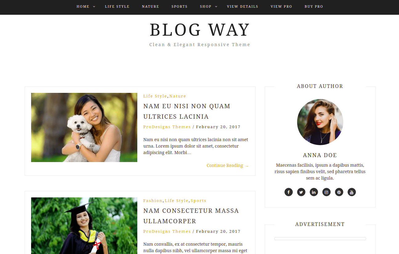 Download Blog Way WordPress Theme, WordPress Themes for Blogs