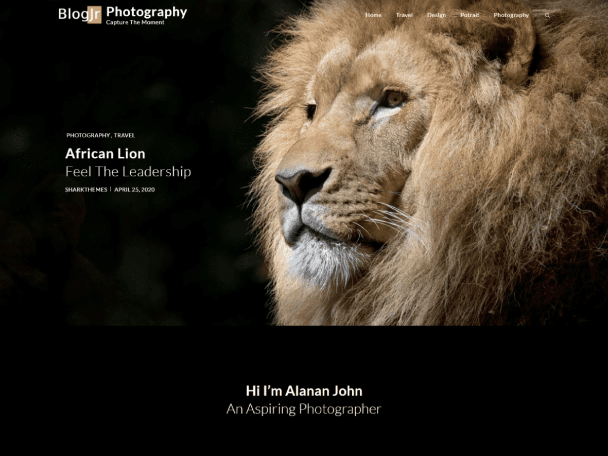 blogjr, WordPress Theme for Photographers