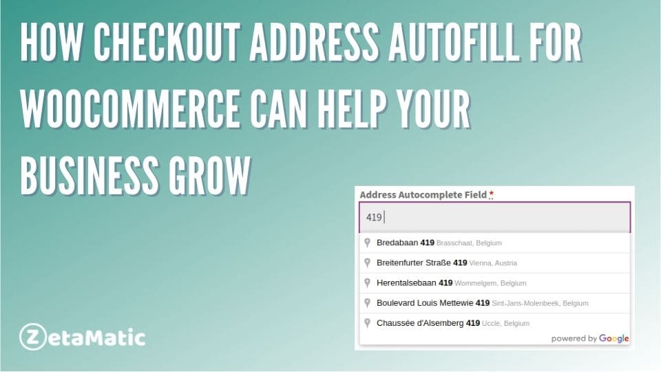 How Checkout Address Autofill for WooCommerce Can Help Your Business Grow
