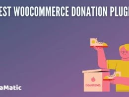 12 Best WooCommerce Donation Plugins