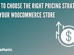 How to Choose the Right Pricing Strategy for Your WooCommerce Store