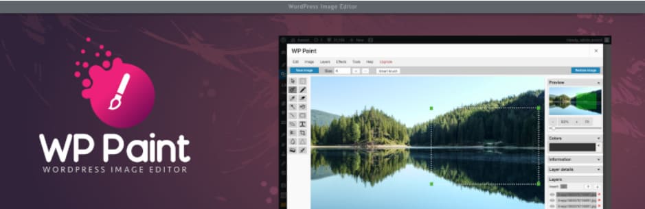 WP Paint, WordPress Plugins