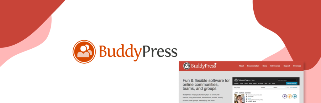 Top 5 WordPress Chat Plugins - BuddyPress
